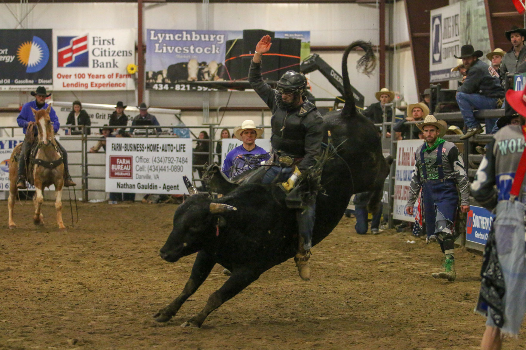 BullBash-3.JPG